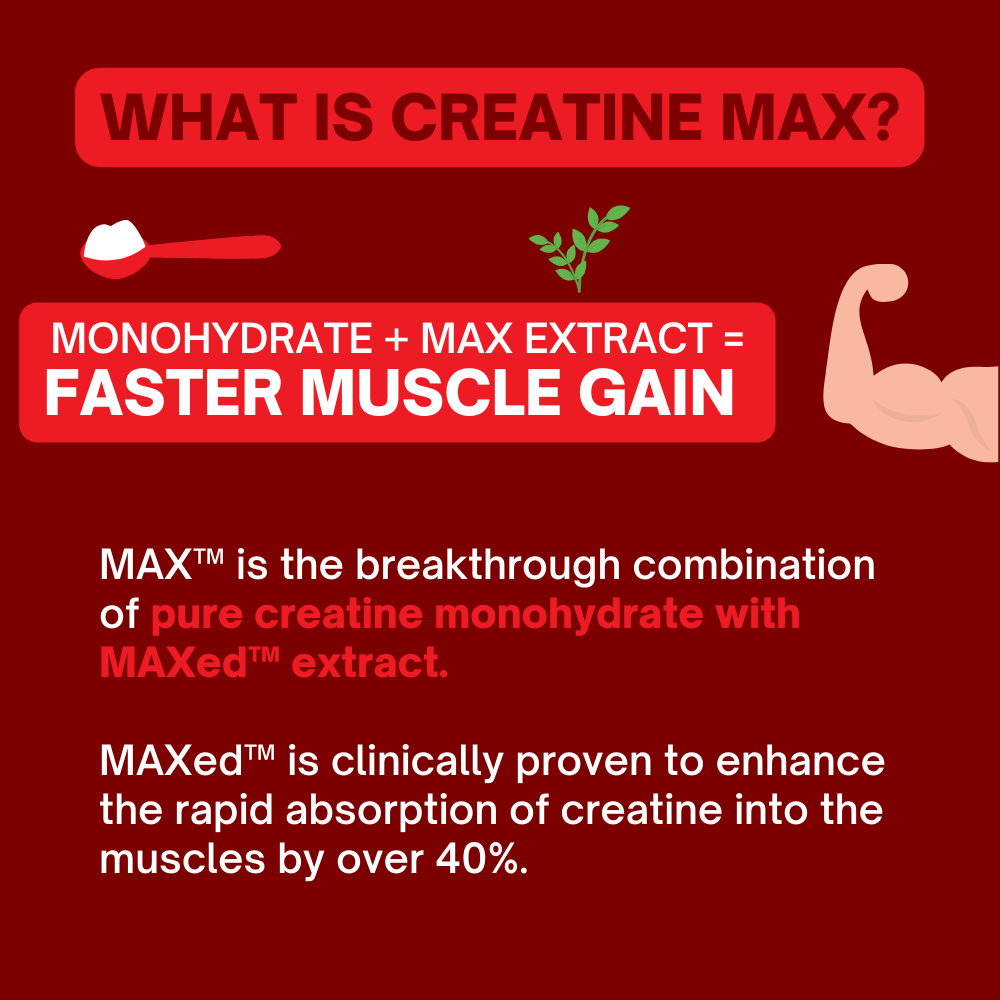 MAX Creatine Monohydrate Powder